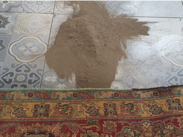 Rug Dust Removal.jpg